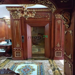 Bán Biệt thự dát vàng đường Lê Đức Thọ, Phường 17, Quận Gò Vấp.