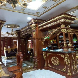 Bán Biệt thự dát vàng đường Lê Đức Thọ, Phường 17, Quận Gò Vấp.