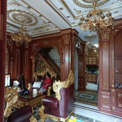 Bán Biệt thự dát vàng đường Lê Đức Thọ, Phường 17, Quận Gò Vấp.
