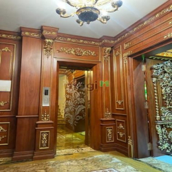 Bán Biệt thự dát vàng đường Lê Đức Thọ, Phường 17, Quận Gò Vấp.