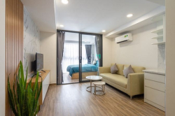 ✨1 Phòng Ngủ_Cao Cấp_Full NT_Trần Đình Xu Quận 1✨
