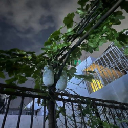 Giá RẺ tìm đâu ra MTKD Quang Trung 140m2 ngang 5.5m ngay VINCOM 18 tỷ.