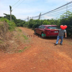 Kẹt tiền cần bán gấp 201m2, full thổ cư, đường hiện hữu, view hồ.