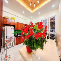 Nhà đẹp ở liền 3 lầu ST Đường 10m KDC Tân An Huy, Tân Phong, Quận 7