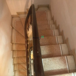 Chính chủ bán nhà Ngõ Hàm Rồng , Ngọc Lâm .Gía 7,1 tỷ