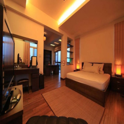 Cần bán Penthouse Park View tại Phú Mỹ Hưng, Quận 7, dt 204m2