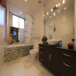 Cần bán Penthouse Park View tại Phú Mỹ Hưng, Quận 7, dt 204m2