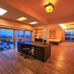 Cần bán Penthouse Park View tại Phú Mỹ Hưng, Quận 7, dt 204m2