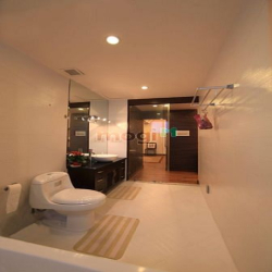 Cần bán Penthouse Park View tại Phú Mỹ Hưng, Quận 7, dt 204m2