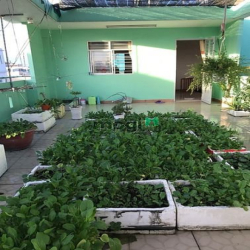 Nhà [5.2x25] 3 lầu nở hậu 8.4 - đường Tân Hoà Đông, Quận 6