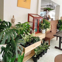 Bán gấp - Nhà mặt tiền Nguyễn Khuyến ngay trung tâm TP.Cần Thơ