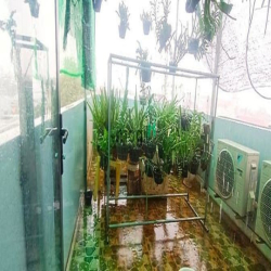 Bán Nhà Hẻm Xe Hơi Thông, 97m2, 4 Tầng, 4PN, Gò Cát, Phú Hữu, Quận 9