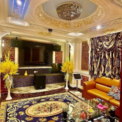 Biệt thự lâu đài triệu đô cách quận 10 chỉ 5 phút
