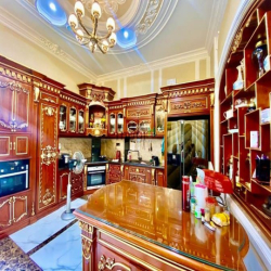 Biệt thự lâu đài triệu đô cách quận 10 chỉ 5 phút