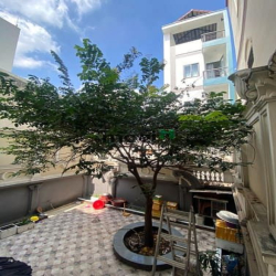 Biệt thự lâu đài triệu đô cách quận 10 chỉ 5 phút