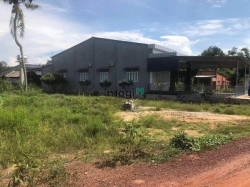 GÒ DẦU - TÂY NINH cần bán hết 10 nền dt: 5x29m giá:299tr LH gấp X.Mai