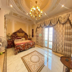Biệt thự lâu đài triệu đô cách quận 10 chỉ 5 phút