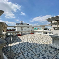 Biệt thự lâu đài triệu đô cách quận 10 chỉ 5 phút
