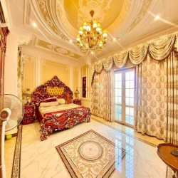 Biệt thự lâu đài triệu đô cách quận 10 chỉ 5 phút