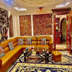 Biệt thự lâu đài triệu đô cách quận 10 chỉ 5 phút