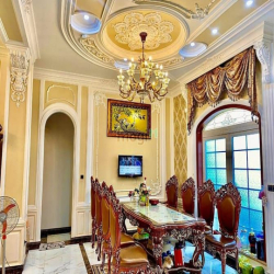 Biệt thự lâu đài triệu đô cách quận 10 chỉ 5 phút