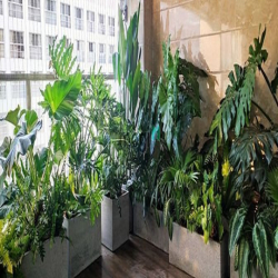 Bán gấp căn hộ sân vườn Happy Valley -Phú Mỹ Hưng 135m 3pn giá 7.3 tỷ