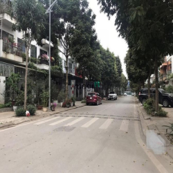 Bán biệt thự sân vườn đô thị Trung Hòa Nhân Chính, 160m2, MT10m, 50 tỷ