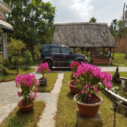 Biệt Thự Vườn VIP 1300m 20tr Hà Huy Giáp Quận 12