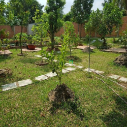 Biệt Thự Vườn VIP 1300m 20tr Hà Huy Giáp Quận 12