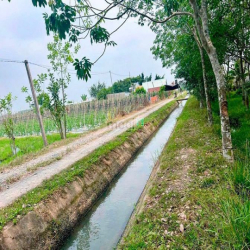 Lô Gốc 2mt tổng gần 900m tại củ chi