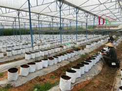 Bán đất mặt tiền Ankoret phường 7 Đà Lạt view đẹp hợp đầu tư - MN3260