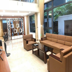 Gia đình cần cho thuê biệt thự Phú Mỹ Hưng, Quận 7