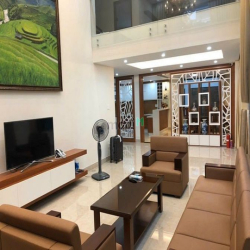 Gia đình cần cho thuê biệt thự Phú Mỹ Hưng, Quận 7