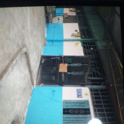 Cho thuê nhà nguyên căn đường rộng