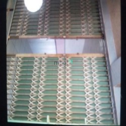 Cho thuê nhà nguyên căn đường rộng