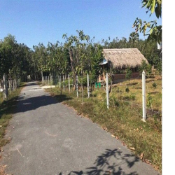 CẦN BÁN ĐẤT MT Nguyễn Thị Cần 1/  Nguyễn Thị Rành