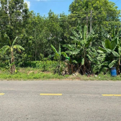 Nhượng Gấp, 2154m2 (36x59) Mt Dt744 Định An, Dầu Tiếng, Làm Cây xăng