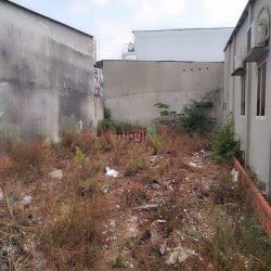 Mặt tiền Trần Thị Bốc 214m² Thới Tâm Thôn Hóc Môn