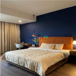 ✅Service apartment 3PN 120m2 Cao Cấp Full Nội Thất Thảo Điền