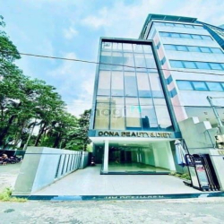 Building MT Phạm Đình Toái, P6, Q3 (8x22m) gần Hồ Xuân Hương, giá bán