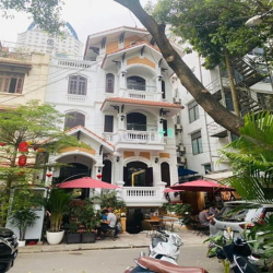 Bán Biệt thự liền kề quận Cầu Giấy, phố hoàng Đạo Thúy 128m2 có 2 Mt
