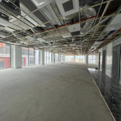 Cho thuê 100m2 sàn văn phòng tại Nguyễn Hữu Cầu Q1