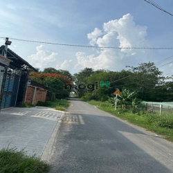 Cần tiền đi Mỹ, bán đất chính chủ  Ấp Trường An, xã Trường Tây, Thị xã