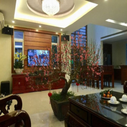 Cần cho thuê biệt thự khu đô thị An Hưng, Dương Nội-nhà hoàn thiện đẹp