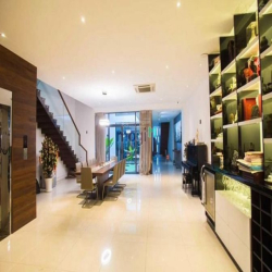 Cho thuê nhà mới, giao ngay_ Hẻm 384B Nam Kỳ Khởi Nghĩa, Quận 3