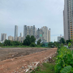Cho thuê đất trống quận 2 thảo điền giá rẻ