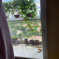 Căn Hộ Flora Fuji Kikyo 1Pn1Wc & 2Pn2Wc, Full Đầy Đủ Nội Thất Mới Sạch