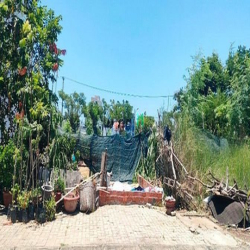 Chủ cần bán gấp lô đất biển đường Cao Sơn 7 - 2,x nhỏ GẤP