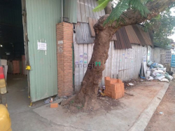 cho thuê kho xưởng quận 12 phường hiệp thành