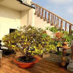 Bán khách sạn 3 lầu KDC Bửu Long tổng hơn 600m2 sàn 11.5 tỷ GIÁ NGỘP
